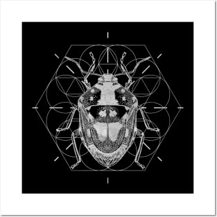 Sacred Geometry Soldier Bug Posters and Art